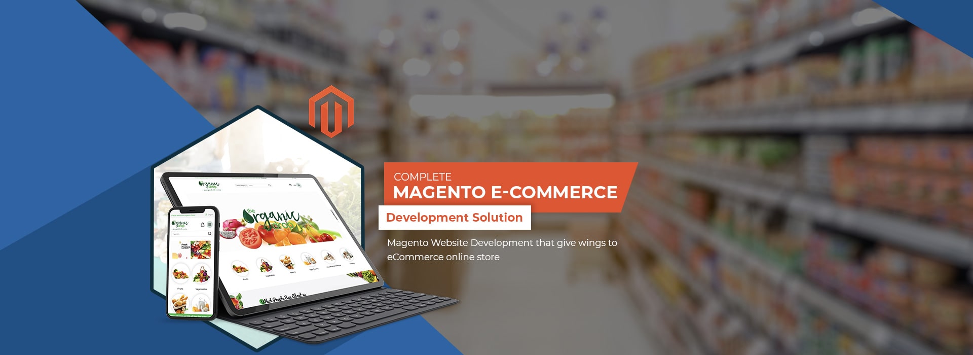 Magento Development Solution